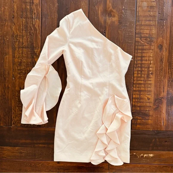 Cinq a sept Pia dress in blush size 2. GUC - Picture 4 of 9